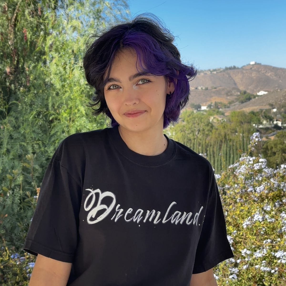 Dreamland (The Album) Tee