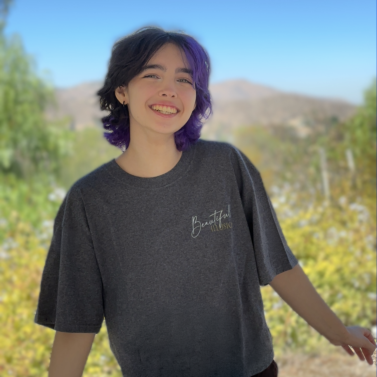 Beautiful Illusion T-Shirt (Heather Gray)